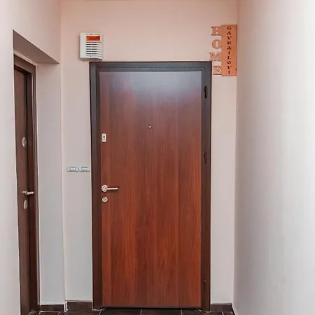 Cozy 鲁塞